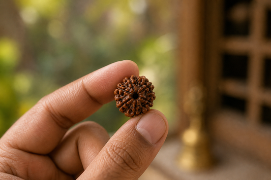 Nepal Origin 5 Mukhi Rudraksha