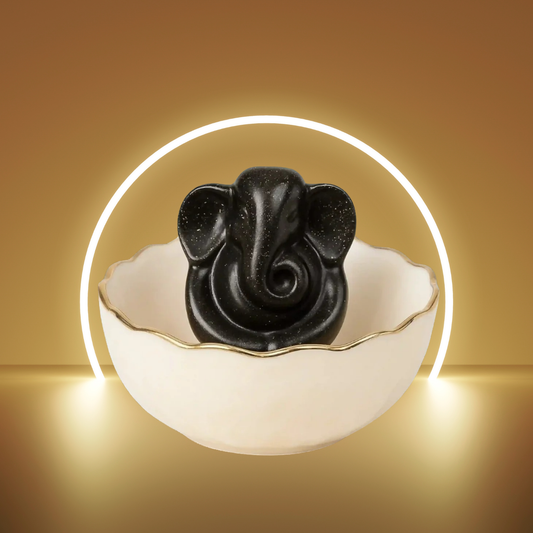 Selenite Money Bowl with Pyrite Ganesh Ji Idol