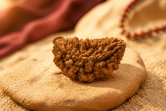Nepal Origin 1 Mukhi Rudraksha