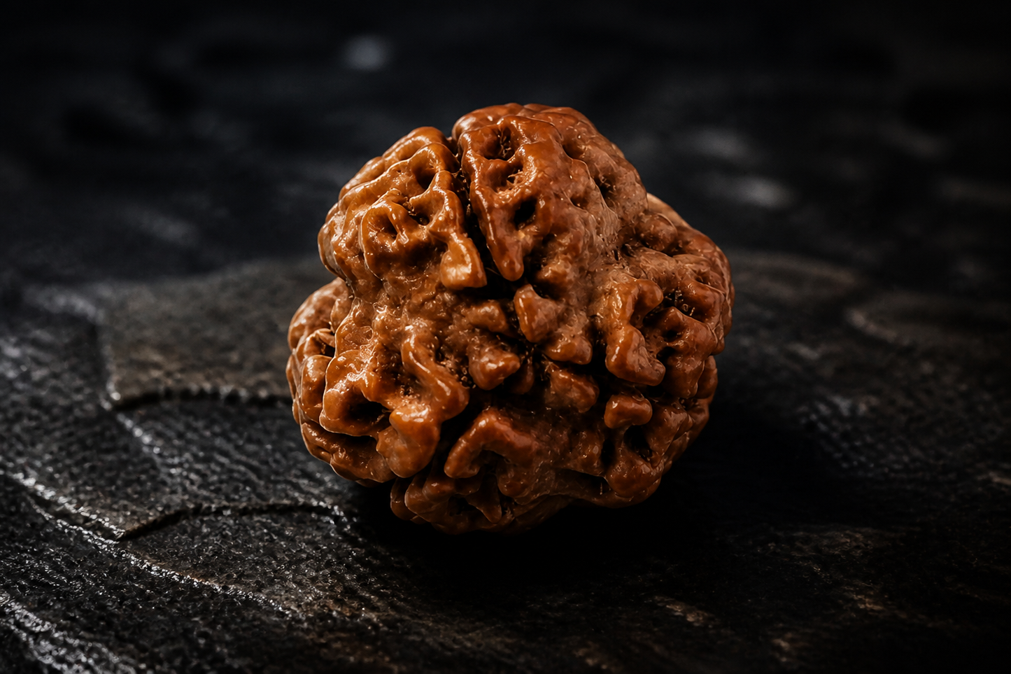 Nepali Origin 3 Mukhi Rudraksha