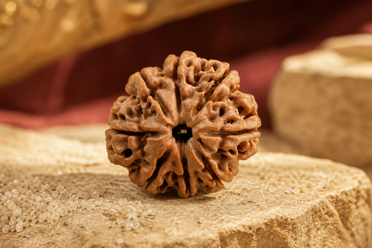 Nepal Origin 8 Mukhi Ruduraksha