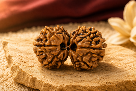 Gauri Shankar Rudraksha