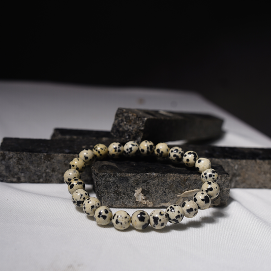 Dalmatian Jasper