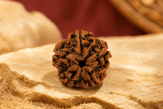 Nepal Origin 5 Mukhi Rudraksha