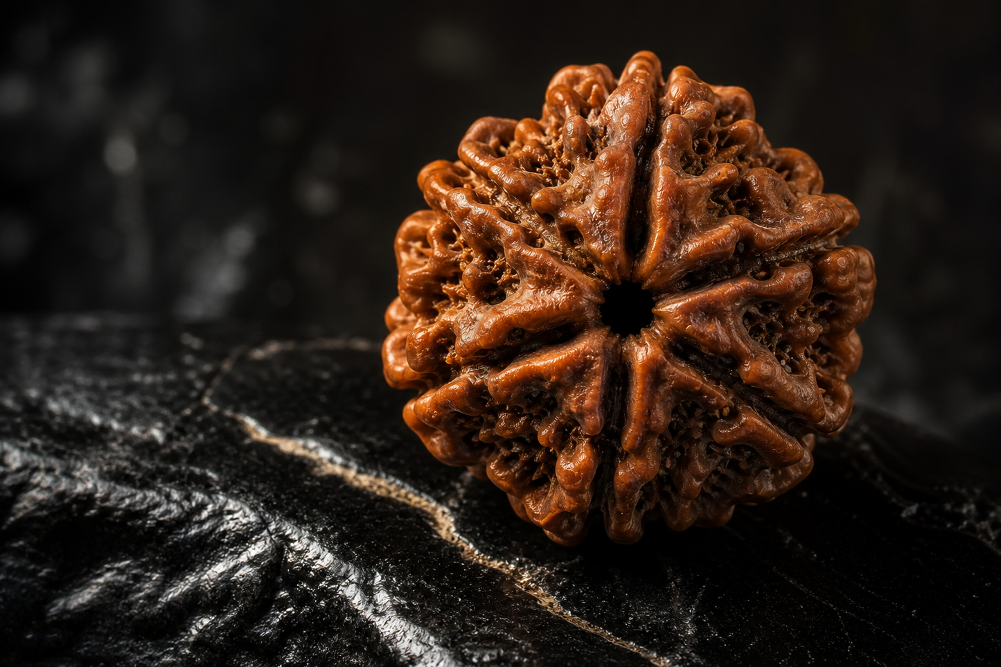 Nepal Origin 5 Mukhi Rudraksha