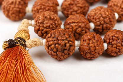 5 Mukhi Rudraksha Jaap Mala
